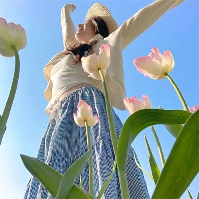 音乐缘计划2封面